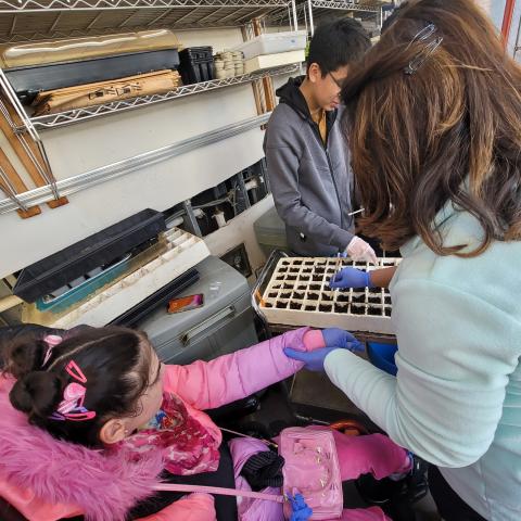 Greenhouse seed planting event. One of the students in the wheelchair participating in the seed planting. She is being helped by her mother and another student. 
