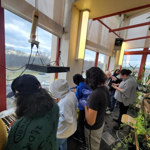 Greenhouse seed planting event. Overview image of the students lined up by the table facing the glass windows planting seeds.​