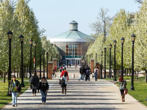 Alumni Walk Facing The Campus Center Alumni Walk Facing The Campus Center