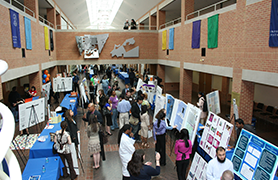 Undergraduate Conference