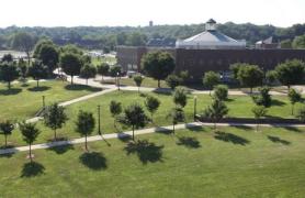 aerial view of trees on campus
