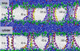 Molecular Modeling