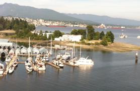 Aerial Harbor View