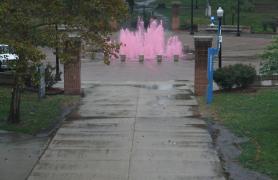 The CSI Fountain Dyed Pink for Breast Cancer Awareness