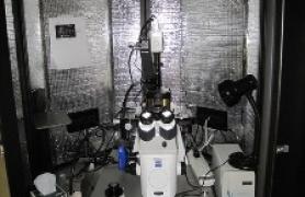 Asylum MFP 3D BIO Atomic Force Microscope in Lab