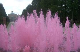 The CSI Fountain Dyed Pink for Breast Cancer Awareness