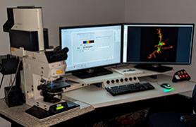 Confocal Microscope