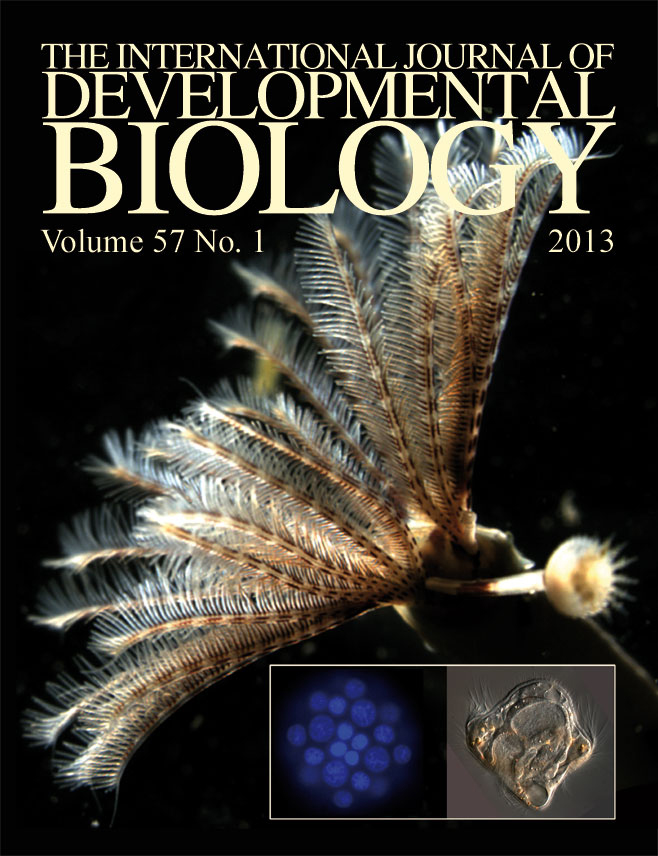Cover of The International Journal of Developmental Biology. Stages of Hydroides elegans including adult in tube, embryo, and larva
